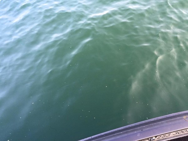 hideup 豌ｸ驥守ｷ丈ｸ譛� 繝悶Ο繧ｰ蜀咏悄 2016/08/19