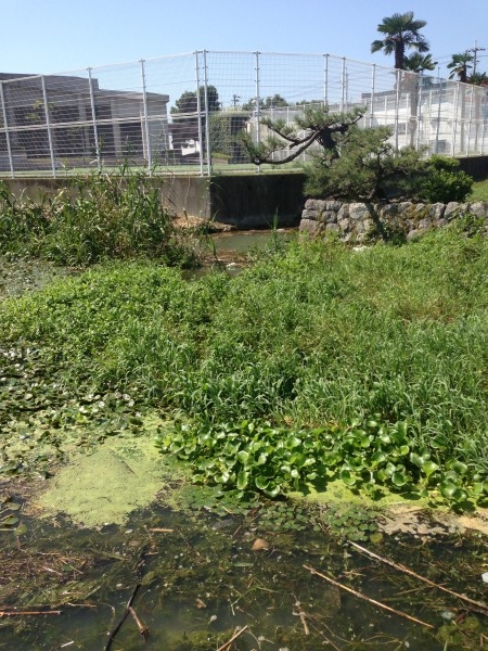 hideup 永野総一朗 ブログ写真 2013/09/18