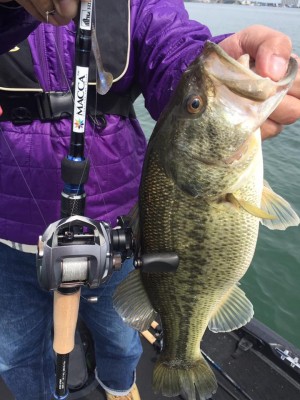 hideup 永野総一朗 ブログ写真 2017/04/20