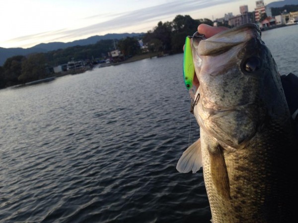 hideup 永野総一朗 ブログ写真 2014/11/11