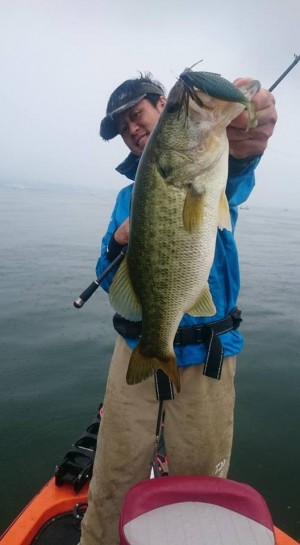 hideup 豌ｸ驥守ｷ丈ｸ譛� 繝悶Ο繧ｰ蜀咏悄 2017/06/28