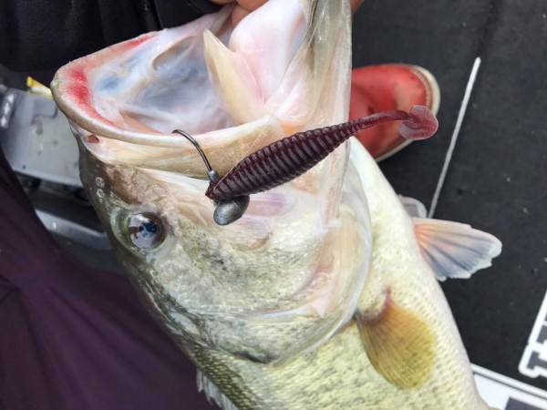 hideup 永野総一朗 ブログ写真 2017/04/25