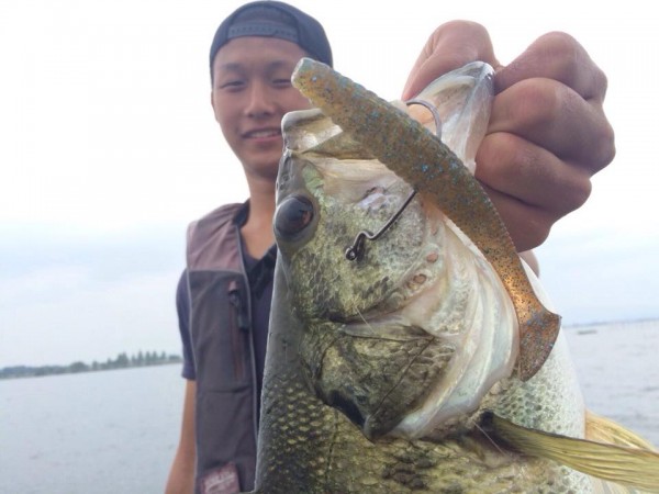 hideup 永野総一朗 ブログ写真 2015/06/02