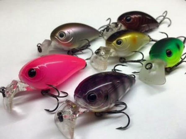 hideup 豌ｸ驥守ｷ丈ｸ譛� 繝悶Ο繧ｰ蜀咏悄 2016/01/14