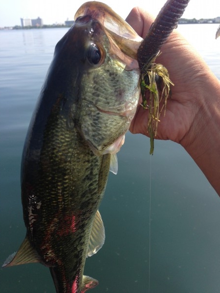 hideup 永野総一朗 ブログ写真 2013/08/19