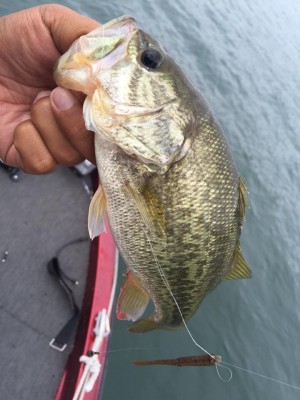 hideup 永野総一朗 ブログ写真 2015/10/05