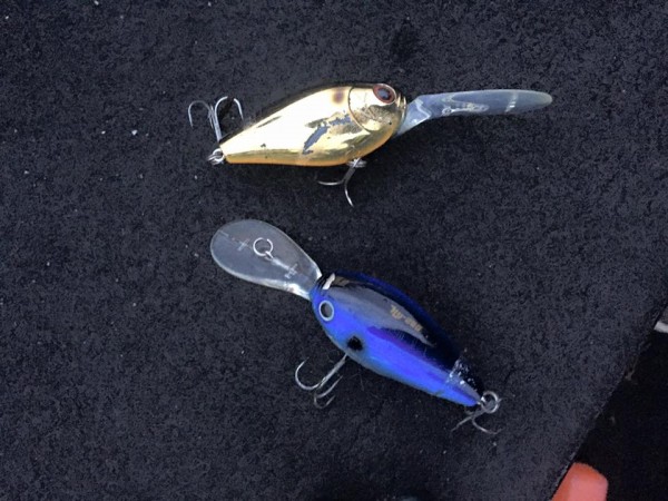 hideup 永野総一朗 ブログ写真 2016/03/06