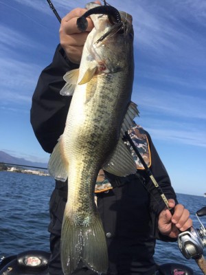 hideup 永野総一朗 ブログ写真 2016/11/16