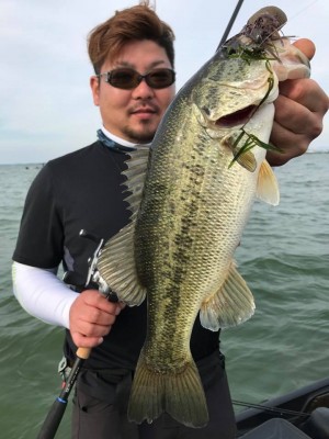 hideup 永野総一朗 ブログ写真 2017/06/18