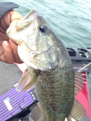 hideup 永野総一朗 ブログ写真 2015/04/24