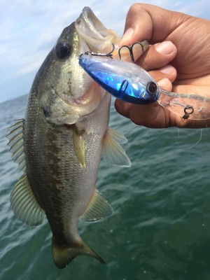 hideup 永野総一朗 ブログ写真 2016/07/03