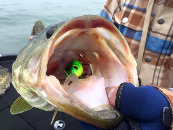 hideup 永野総一朗 ブログ写真 2016/01/24