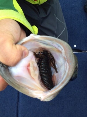 hideup 永野総一朗 ブログ写真 2014/05/05