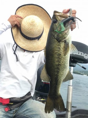 hideup 永野総一朗 ブログ写真 2017/08/02