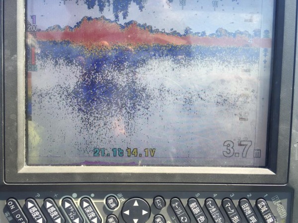 hideup 永野総一朗 ブログ写真 2017/06/03