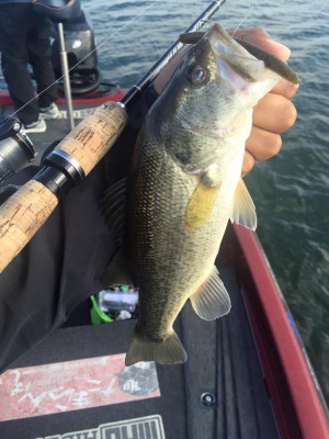 hideup 永野総一朗 ブログ写真 2015/11/21