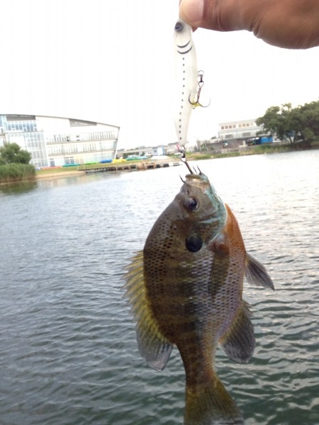 hideup 永野総一朗 ブログ写真 2014/06/26