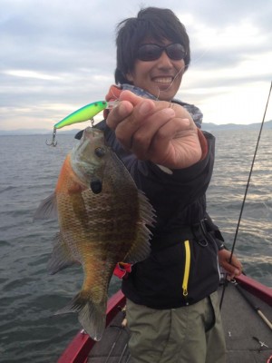 hideup 永野総一朗 ブログ写真 2014/11/05