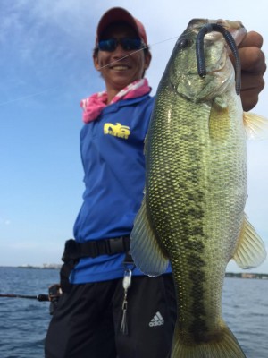 hideup 豌ｸ驥守ｷ丈ｸ譛� 繝悶Ο繧ｰ蜀咏悄 2015/08/09