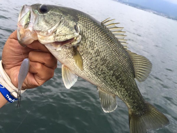 hideup 永野総一朗 ブログ写真 2016/06/13
