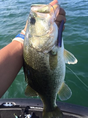 hideup 永野総一朗 ブログ写真 2016/06/14