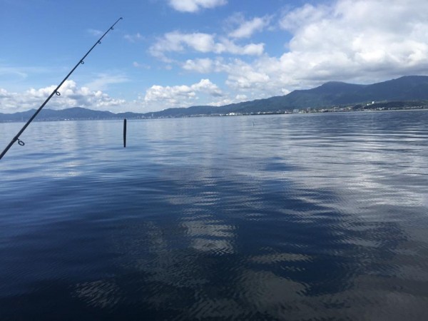 hideup 豌ｸ驥守ｷ丈ｸ譛� 繝悶Ο繧ｰ蜀咏悄 2015/08/18