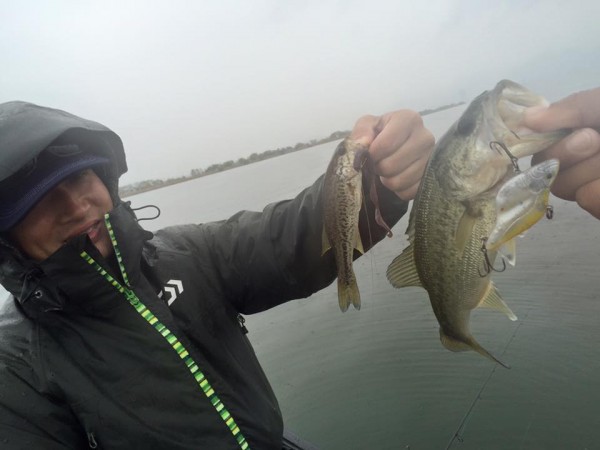 hideup 永野総一朗 ブログ写真 2016/04/21