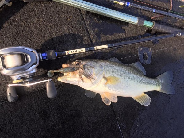 hideup 永野総一朗 ブログ写真 2016/01/05