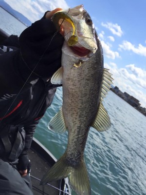 hideup 豌ｸ驥守ｷ丈ｸ譛� 繝悶Ο繧ｰ蜀咏悄 2016/03/11