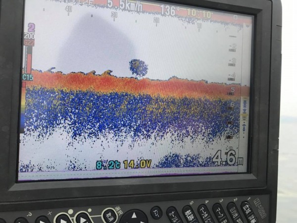 hideup 永野総一朗 ブログ写真 2017/12/16