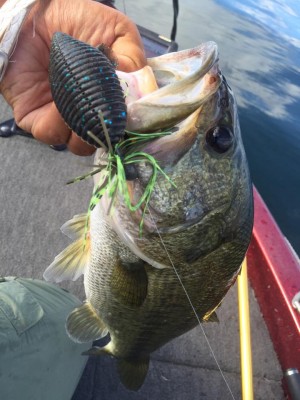 hideup 永野総一朗 ブログ写真 2015/08/23