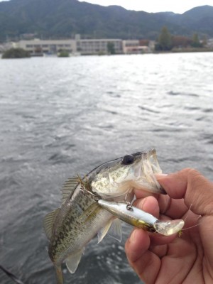 hideup 永野総一朗 ブログ写真 2014/10/28