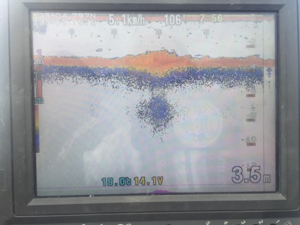 hideup 永野総一朗 ブログ写真 2017/05/17