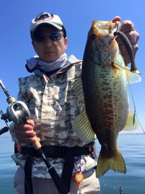 hideup 永野総一朗 ブログ写真 2016/05/18