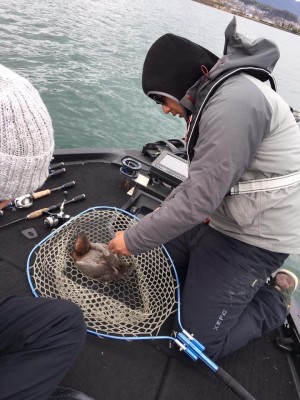 hideup 永野総一朗 ブログ写真 2017/03/01