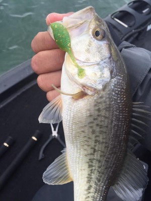 hideup 永野総一朗 ブログ写真 2017/01/26