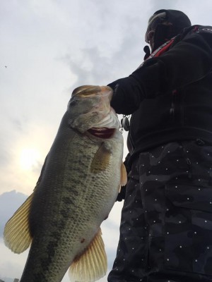 hideup 永野総一朗 ブログ写真 2017/03/14