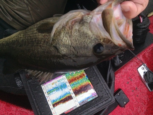 hideup 永野総一朗 ブログ写真 2014/03/26