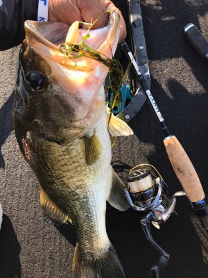 hideup 永野総一朗 ブログ写真 2017/06/20