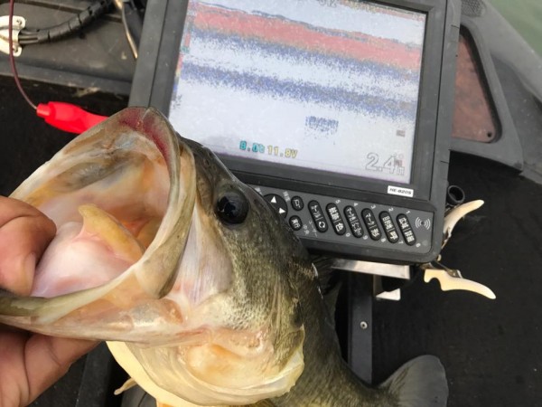 hideup 永野総一朗 ブログ写真 2017/12/10