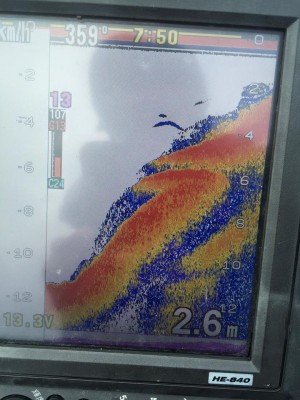 hideup 永野総一朗 ブログ写真 2016/07/01