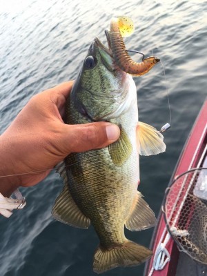 hideup 永野総一朗 ブログ写真 2015/08/04