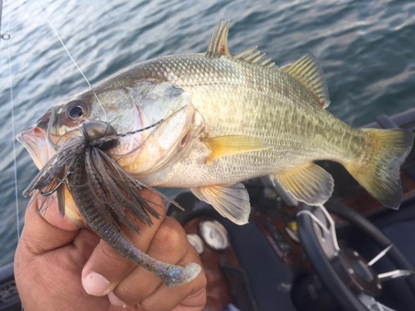 hideup 永野総一朗 ブログ写真 2016/10/17