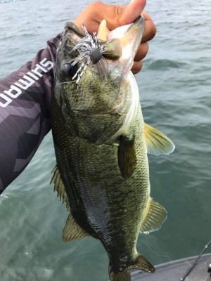 hideup 永野総一朗 ブログ写真 2017/07/13