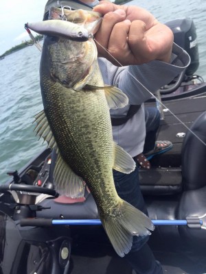 hideup 永野総一朗 ブログ写真 2016/06/01