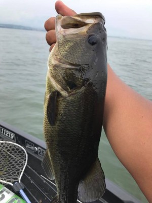 hideup 永野総一朗 ブログ写真 2017/07/10