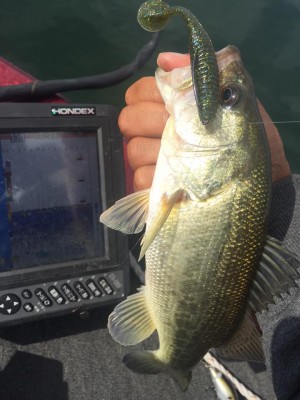 hideup 永野総一朗 ブログ写真 2015/10/15