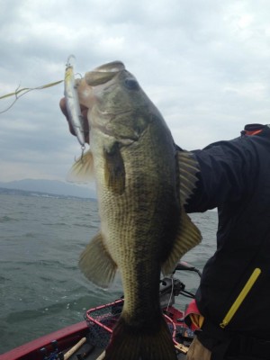 hideup 永野総一朗 ブログ写真 2015/05/18