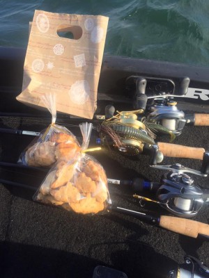 hideup 永野総一朗 ブログ写真 2016/01/11