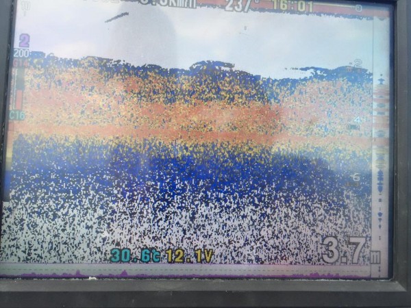 hideup 永野総一朗 ブログ写真 2016/08/25